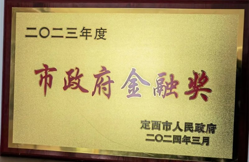 【喜报】金控定西担保再获定西市2023年度“市政府金融奖”
