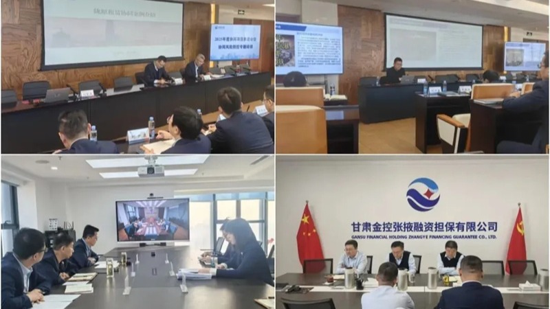  甘肃金控集团举办2025年度协同项目推进会暨协同风险防控专题培训